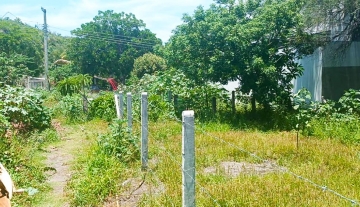 PLAYA COQUETA TERRENO LOTE 77 3.jpg